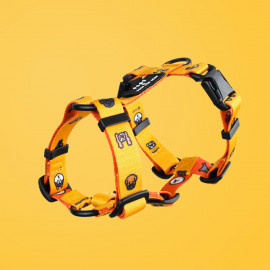 [FLOT] Float X Zero Zero Standard Dog H-Harness Yellow Orange_ A stable and comfortable harness _ Made in KOREA