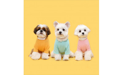 FLOT, A Leading Company in Pet Clothing Industry in KOREA!
