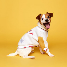 [FLOT] Stadium Jumper, White Yellow, Dog Outerwear _ Dog Shirts, Pet T-Shirts _ Made in KOREA