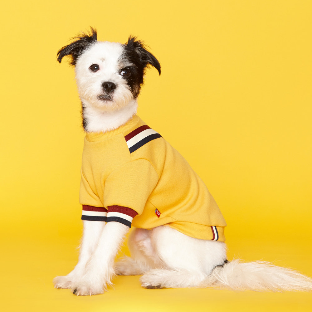 yellow dog sweatshirt