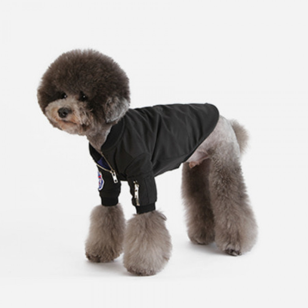 dog flight jacket