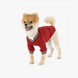 ed dog clothes