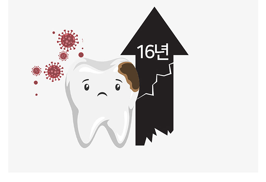 [Amiden] End-Tuft Dental Molar Toothbrush 1EA